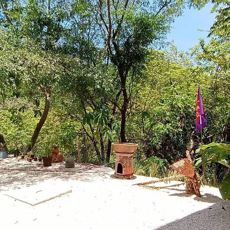 Willa Laurel Jungle & Ocean Playa Santa Teresa  Zewnętrze zdjęcie