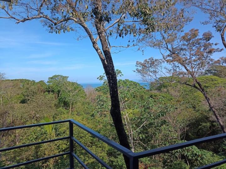 Willa Laurel Jungle & Ocean Playa Santa Teresa  Zewnętrze zdjęcie