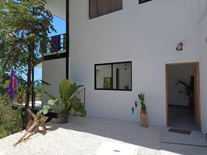 Willa Laurel Jungle & Ocean Playa Santa Teresa  Zewnętrze zdjęcie
