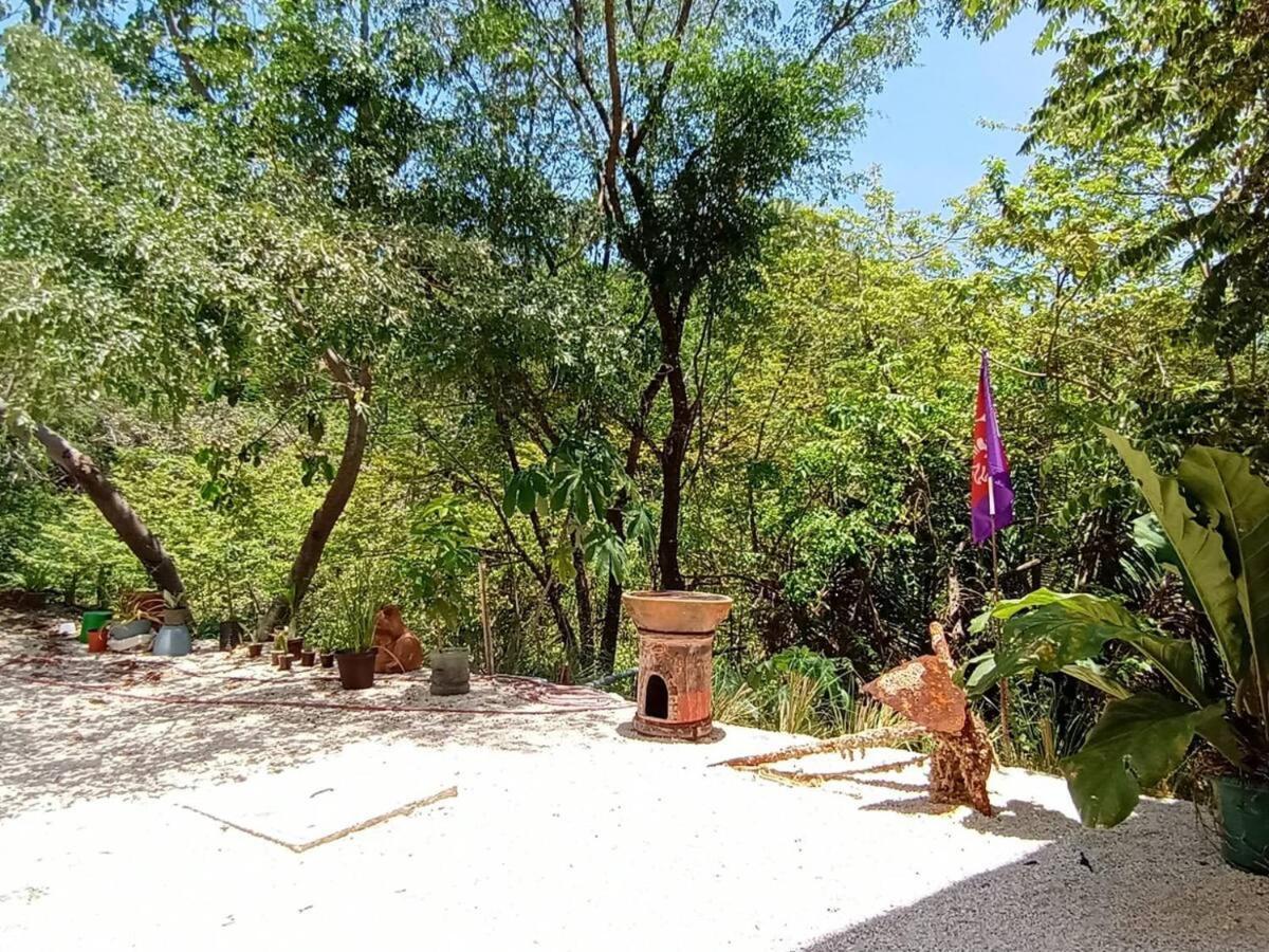 Willa Laurel Jungle & Ocean Playa Santa Teresa  Zewnętrze zdjęcie
